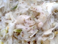 Fenchelkraut