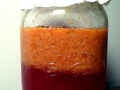 Fermentierter Blutorangensaft