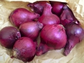Rote Zwiebeln